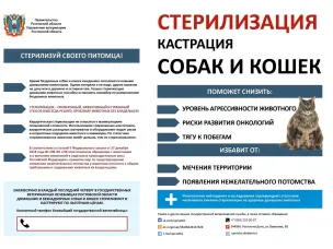 Стерилизация, кастрация собак и кошек