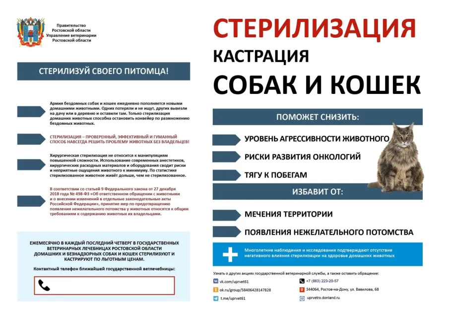 Стерилизация, кастрация собак и кошек