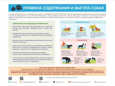 Правила содержания и выгула собак