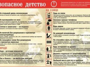 ПРОФИЛАКТИКА ГИБЕЛИ ДЕТЕЙ ОТ ВНЕШНИХ ПРИЧИН, ПРОФИЛАКТИКА ТРАВМАТИЗМА
