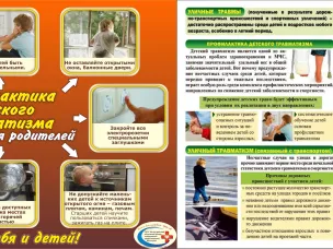 Профилактика травматизма и гибели детей от внешних причин