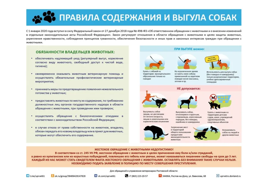 Правила содержания и выгула собак