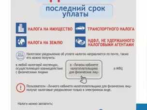 Уплатить налоги не позднее 1 декабря 2022
